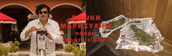 ПСИЛОЦИБИНОВЫЕ ГРИБЫ Белоозёрский