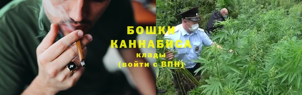 индика Беломорск