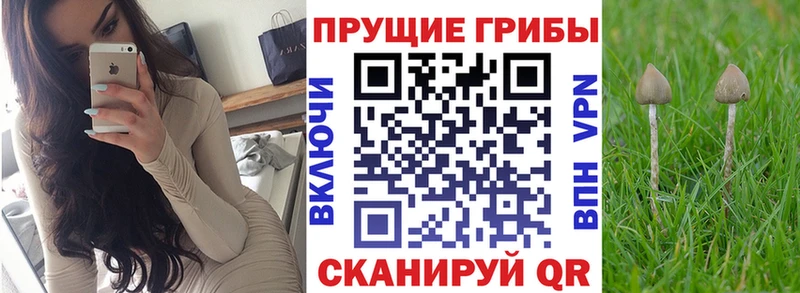 Галлюциногенные грибы мухоморы  МЕГА ТОР  Яхрома 